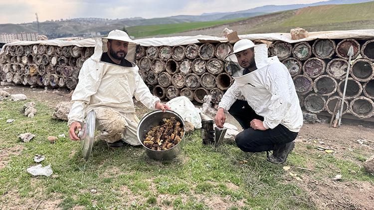 Üniversiteden mezun olup köye yerleşti Ata mesleğini devletten aldığı hibe ile büyüttü
