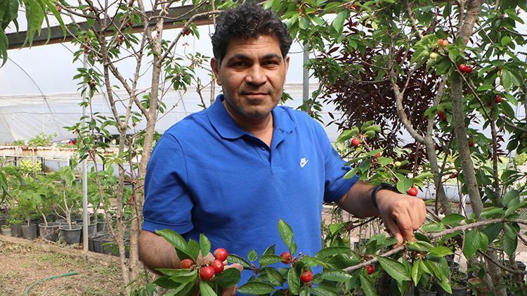 Üreticisine umut oldu dondan yüzde 30 etkilendi: Adanada iklim değişikliğine alternatif olacak