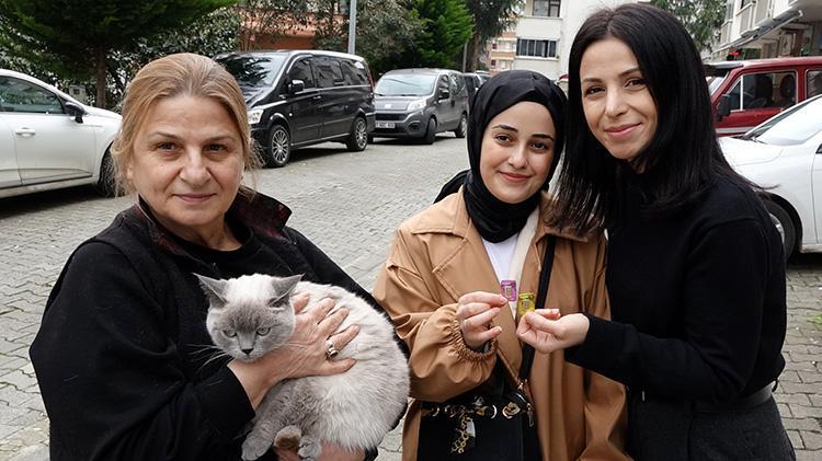 Kayıp kedi Badem bulundu, ailesi altınla ödüllendirdi