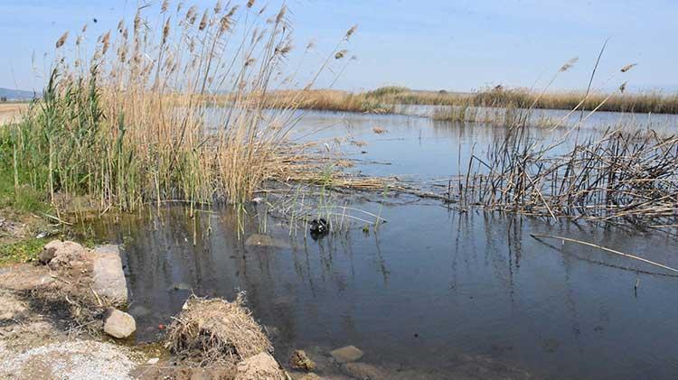 Gediz Nehri kapkara oldu Vatandaşlar tedirgin: Dokunmaya korkar hale geldik