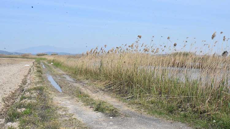 Gediz Nehri kapkara oldu Vatandaşlar tedirgin: Dokunmaya korkar hale geldik