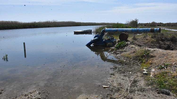 Gediz Nehri kapkara oldu Vatandaşlar tedirgin: Dokunmaya korkar hale geldik