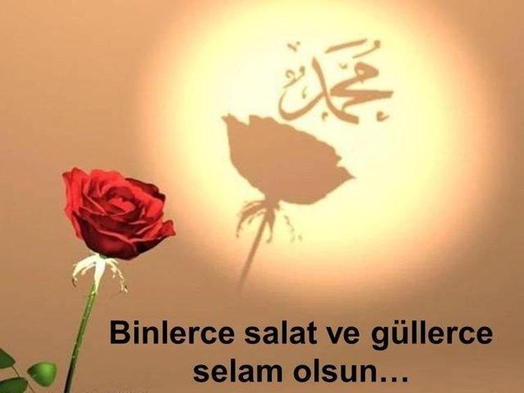 KUTLU DOĞUM HAFTASI KUTLAMA SÖZLERİ