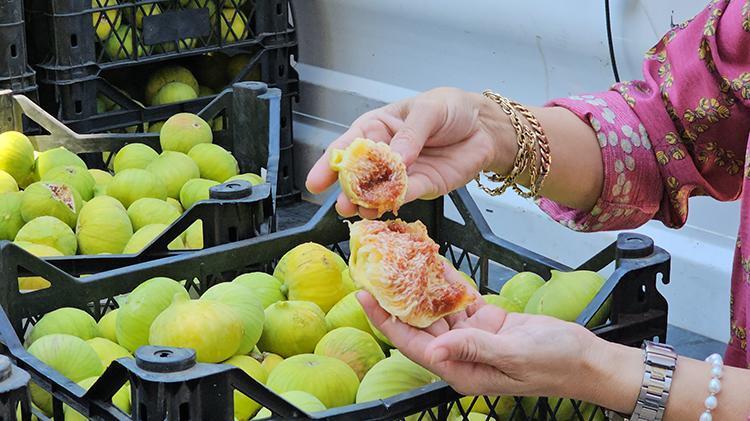 Tek tencereyle başladı şimdi ürünleri Hollanda, Almanya ve İspanyada marketlere girdi Sipariş yetiştiremiyor