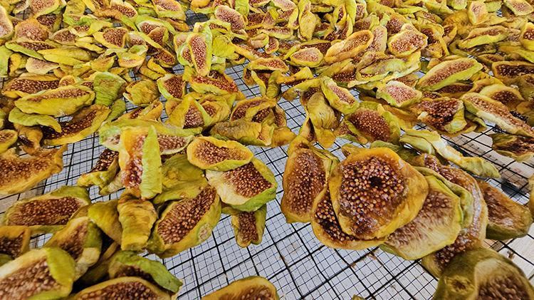 Tek tencereyle başladı şimdi ürünleri Hollanda, Almanya ve İspanyada marketlere girdi Sipariş yetiştiremiyor