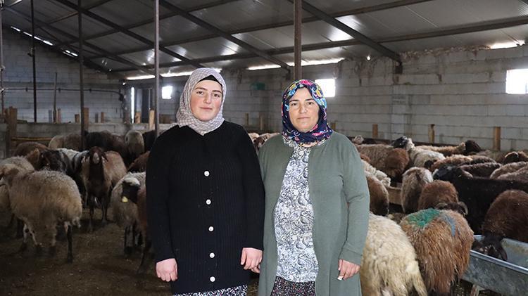 Anne kız el ele verdi, bu işe başladı Yılda 9 buçuk ton üretim yaparak kazançlarına kazanç katıyorlar
