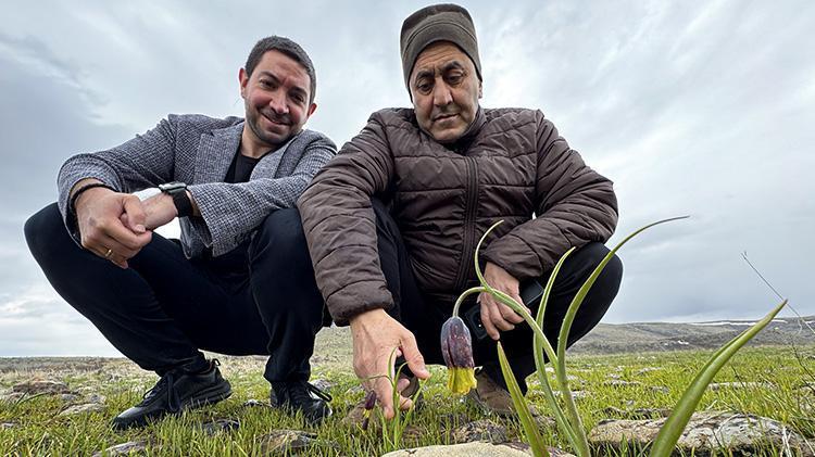Dünyada sadece Elazığda var Akademisyenler Karakoçanda inceledi