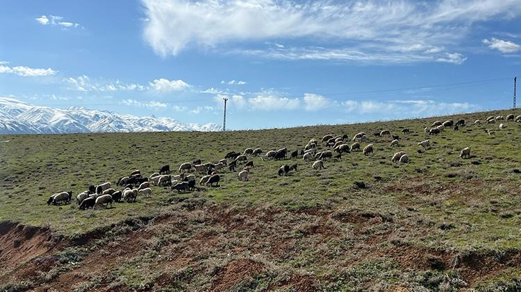 Türkiyede bulamazlarsa İrandan getirecekler Asgari ücretin 3 katı maaş veriyorlar