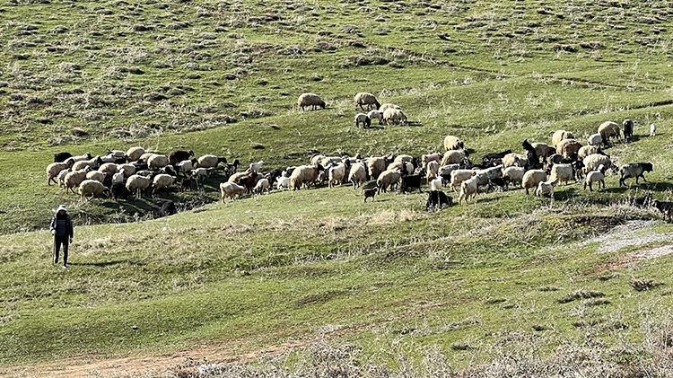 Türkiyede bulamazlarsa İrandan getirecekler Asgari ücretin 3 katı maaş veriyorlar