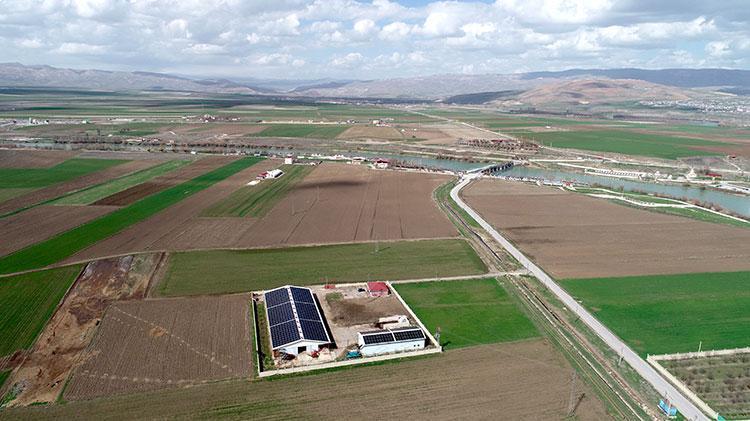 Muşlu girişimci aklını kullandı Çifte gelir kaynağı yarattı: Elektrik dağıtım şirketine satış yaparak ek gelir sağlıyor