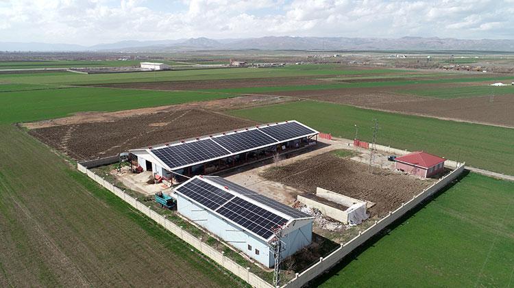 Muşlu girişimci aklını kullandı Çifte gelir kaynağı yarattı: Elektrik dağıtım şirketine satış yaparak ek gelir sağlıyor