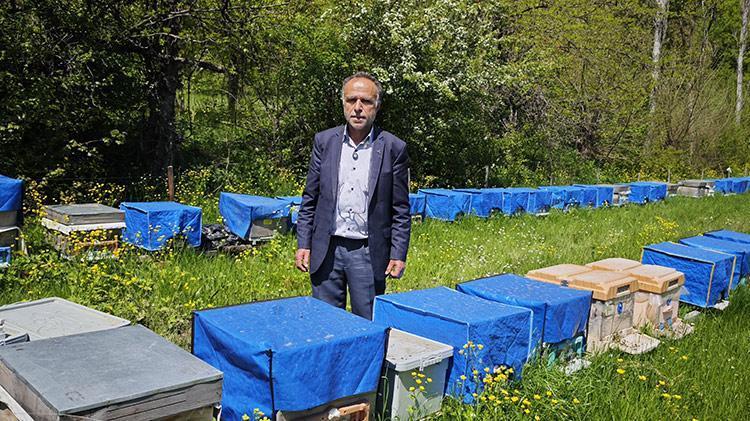 Zirai don arıcılığı da vurdu Yüzde 60a varan kayıp bekleniyor