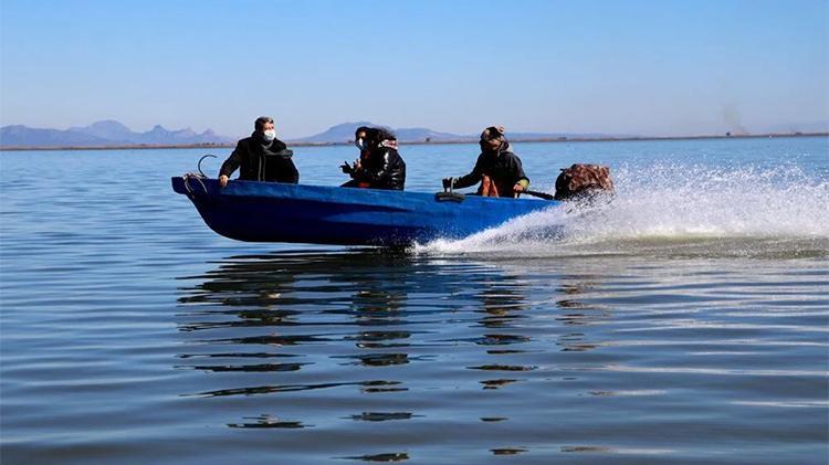 Adanada kesin korunacak hassas bölge Binlerce kuşa ev sahipliği yapıyor Fotoğraf çekmek için akın ediyorlar