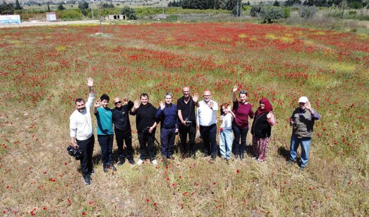 Nadasa bırakılan tarlayı kapladı, birden bire turistlerin ilgi odağı oldu Tablo gibi
