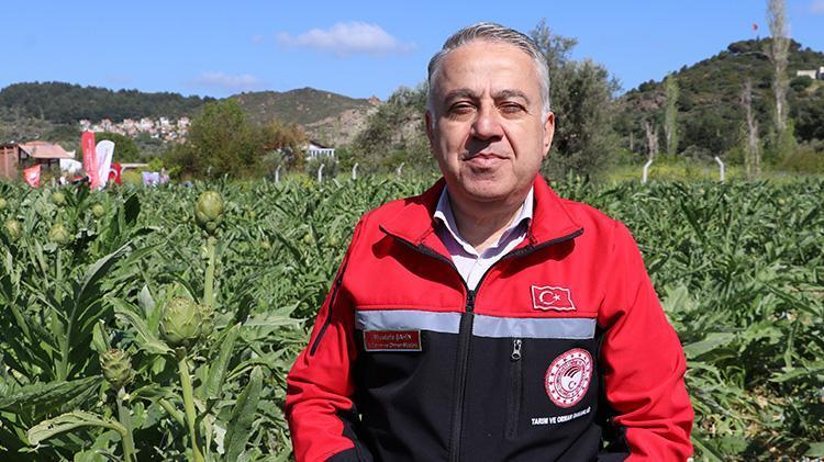 İnternetten satıyorlar Turistik ilçelerde hasat başladı