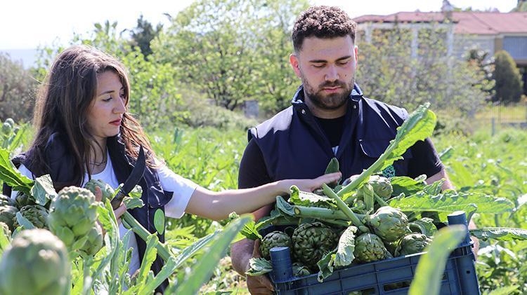 İnternetten satıyorlar Turistik ilçelerde hasat başladı