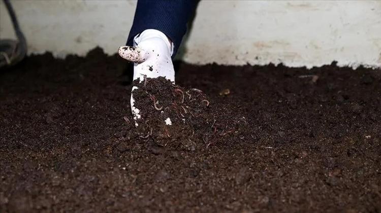 200 ton üretip 1 milyon adet satıyor Kocası ona patron diyor: İki kadın girişimci ihracata hazırlanıyor