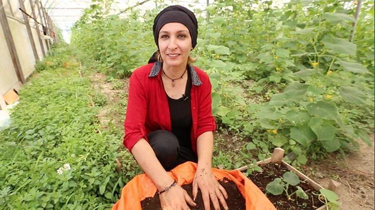 SIFIR MALİYETLE BİRİNCİ SINIF ÜRÜN YETİŞTİRİYORUM