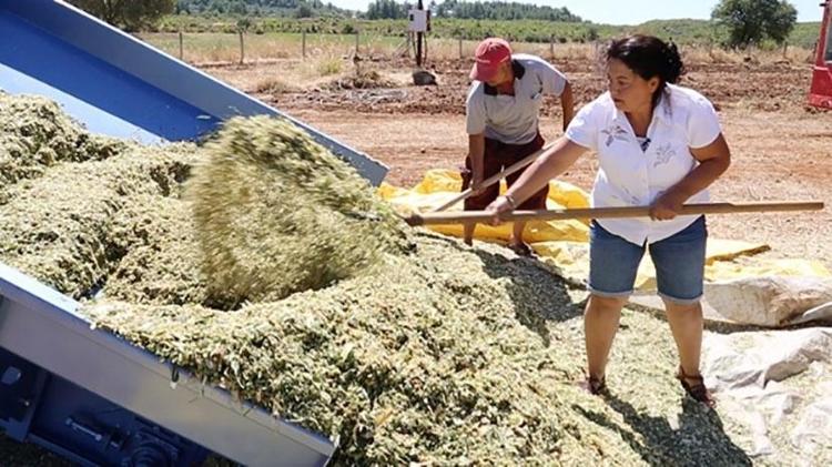200 ton üretip 1 milyon adet satıyor Kocası ona patron diyor: İki kadın girişimci ihracata hazırlanıyor