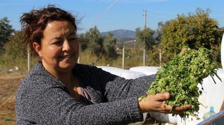 200 ton üretip 1 milyon adet satıyor Kocası ona patron diyor: İki kadın girişimci ihracata hazırlanıyor