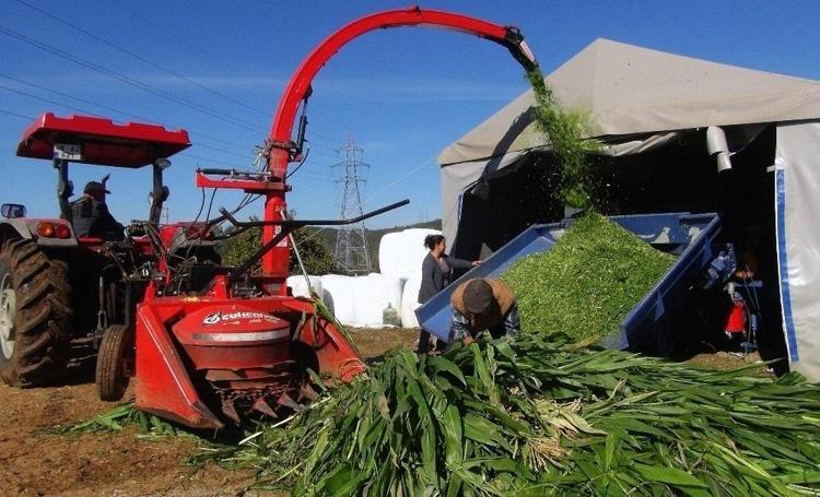 200 ton üretip 1 milyon adet satıyor Kocası ona patron diyor: İki kadın girişimci ihracata hazırlanıyor