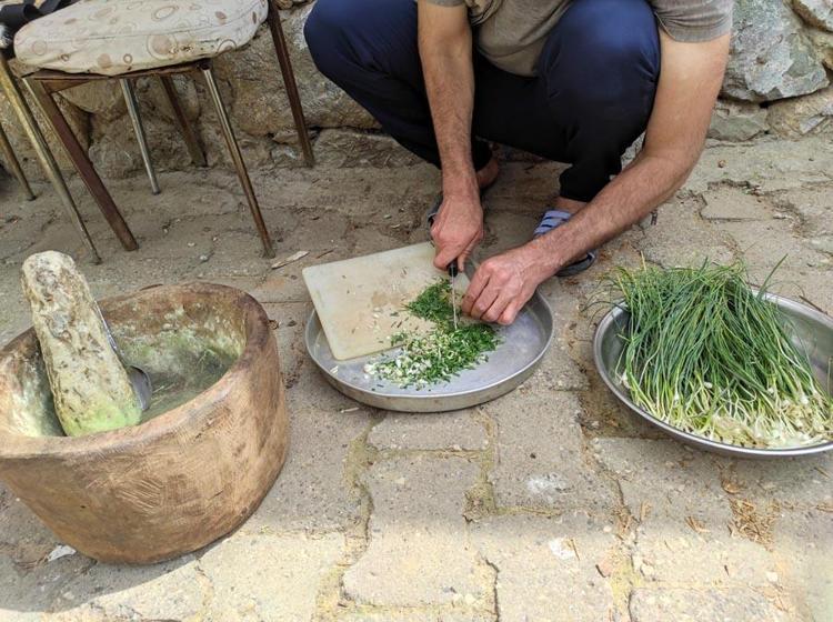 Hastalıklara karşı şifa kaynağı, virüs ve bakterilere karşı bağışıklık sistemini güçlendiriyor Dağdan toplanıyor, kilosu 10 bin TLye satılıyor