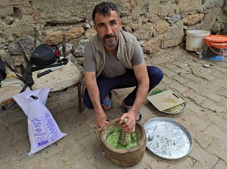 Hastalıklara karşı şifa kaynağı, virüs ve bakterilere karşı bağışıklık sistemini güçlendiriyor Dağdan toplanıyor, kilosu 10 bin TLye satılıyor
