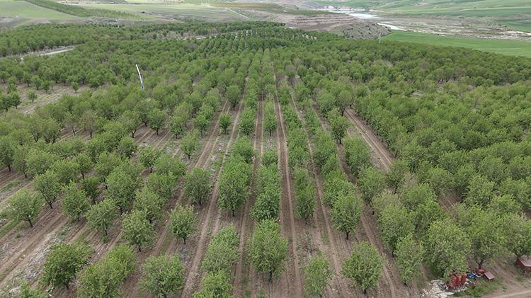 Herkes kaybetti o kazandı Adıyamanlı vatandaşın önlemi işe yaradı