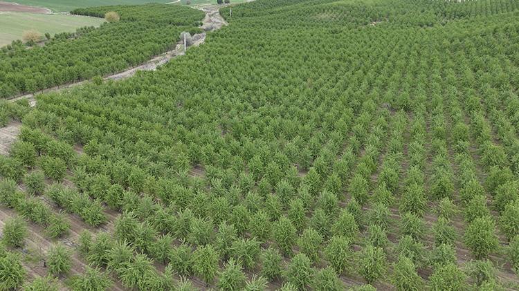Herkes kaybetti o kazandı Adıyamanlı vatandaşın önlemi işe yaradı