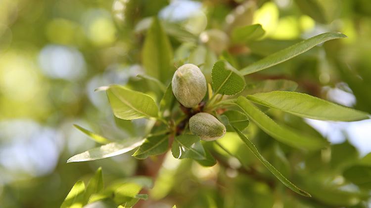 Herkes kaybetti o kazandı Adıyamanlı vatandaşın önlemi işe yaradı