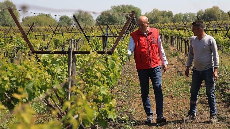 Bu bahçeleri donsavar koruyor İzmir ve Manisalı çiftçilerin taktiği tuttu, ürün zirai dondan etkilenmedi