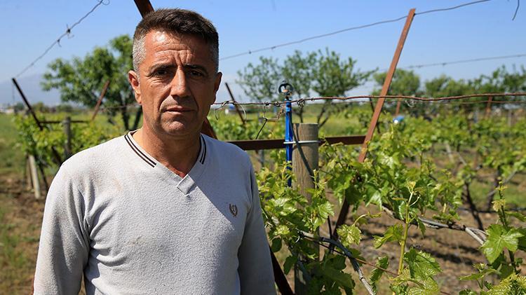 Bu bahçeleri donsavar koruyor İzmir ve Manisalı çiftçilerin taktiği tuttu, ürün zirai dondan etkilenmedi