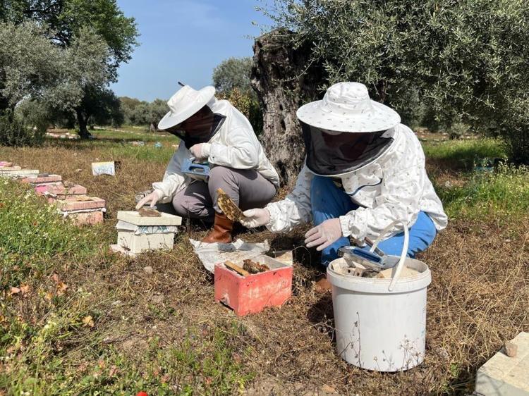 Yılda 7 bin adet üretiyor Gelin görümce el ele verdi: Üç çeşidi de Türkiyenin dört bir yanına satıyor