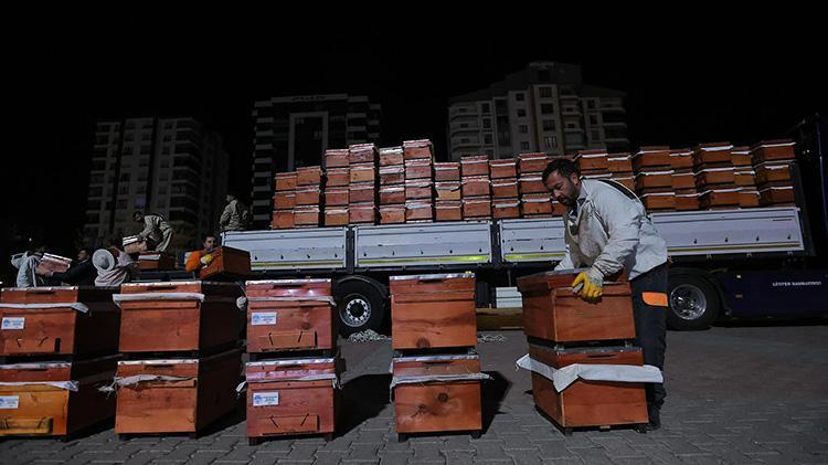Belediye yüzlerce arılı kovan dağıttı Kırsal kalkınmayı destekleyen projeye ilgi büyük