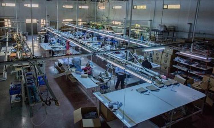 Komşuları beğenince, fabrikasını kurdu Genç kadın girişimci üretimi 100 dönüme çıkarttı: Günlük 5 ton satıyor