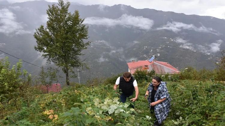 Mevsimlik işçilerle birlikte 60 kişi çalışıyor