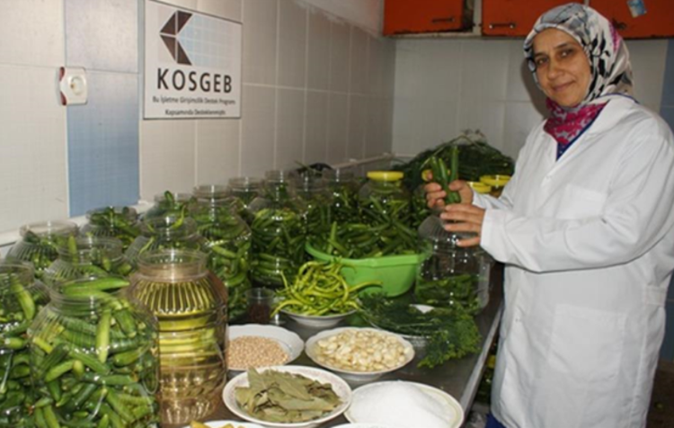 Komşuları beğenince, fabrikasını kurdu Genç kadın girişimci üretimi 100 dönüme çıkarttı: Günlük 5 ton satıyor