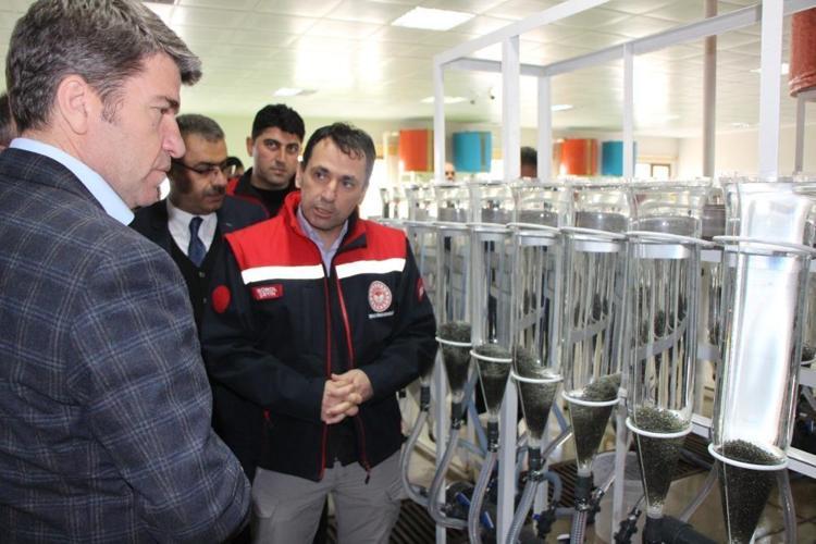 Kilosu 2 bin dolara çıkınca üretimi 300 bine çıktı Amasyada istasyon harekete geçti: 6 ay içinde suya bırakılacak