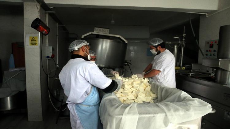 80 ton sütten 3 ton kaşar peyniri ile 500 kilogram tereyağı üretildi