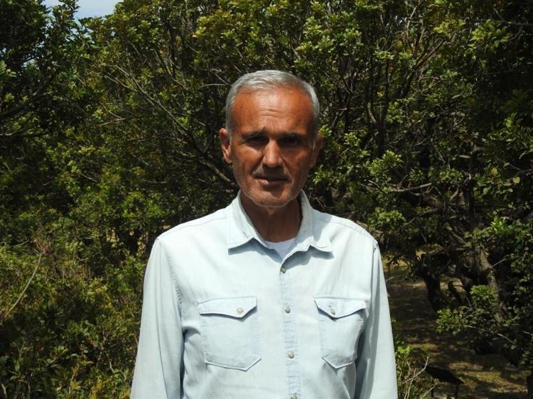 Dikilecek arazi yok Çok hızlı ürün veriyor, kilosu 15 bin TLye satılıyor: Yunanlılar haber yaptı