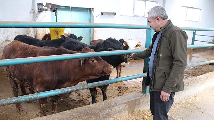 Ahırdan çıkıp modern tesise kavuştu Erzurumlu besicinin aldığı rekor hibe hayatını değiştirdi