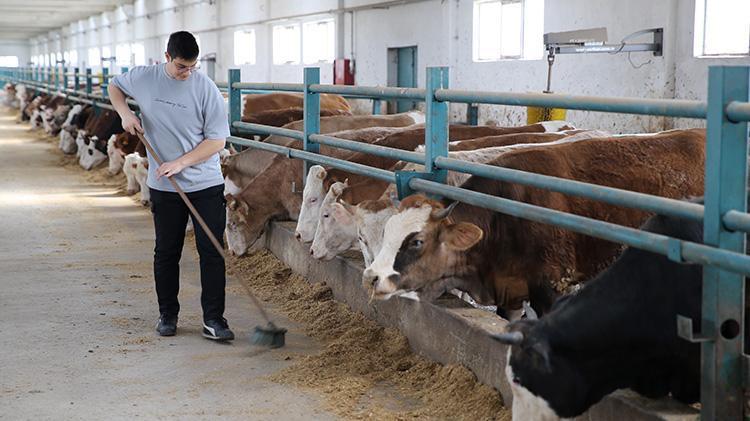 Ahırdan çıkıp modern tesise kavuştu Erzurumlu besicinin aldığı rekor hibe hayatını değiştirdi
