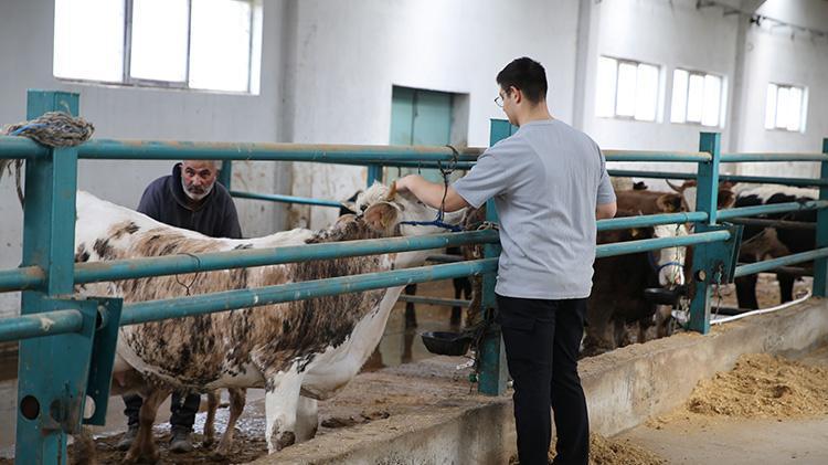 Ahırdan çıkıp modern tesise kavuştu Erzurumlu besicinin aldığı rekor hibe hayatını değiştirdi