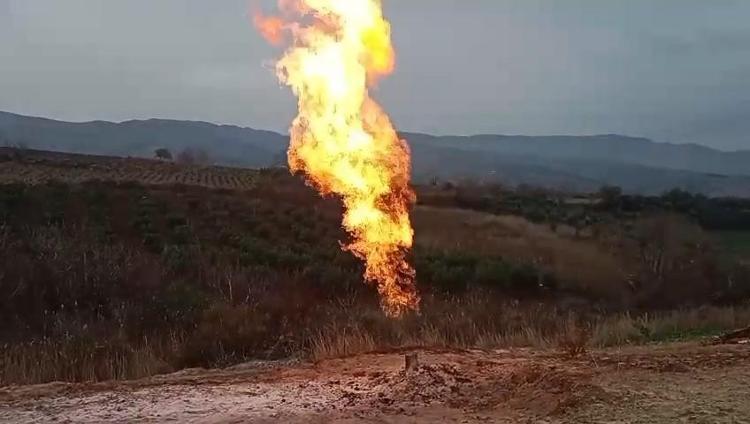 Tekirdağda Faylıköyde deprem öncesi garip olay Depremin habercisi miydi Marmara Denizinden geldiğini gözlemledik
