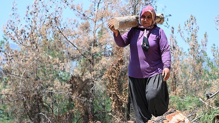Ekmeklerini ormandan çıkarıyorlar Osmaniyeli karı koca yıllardan beri bu işi yapıyor