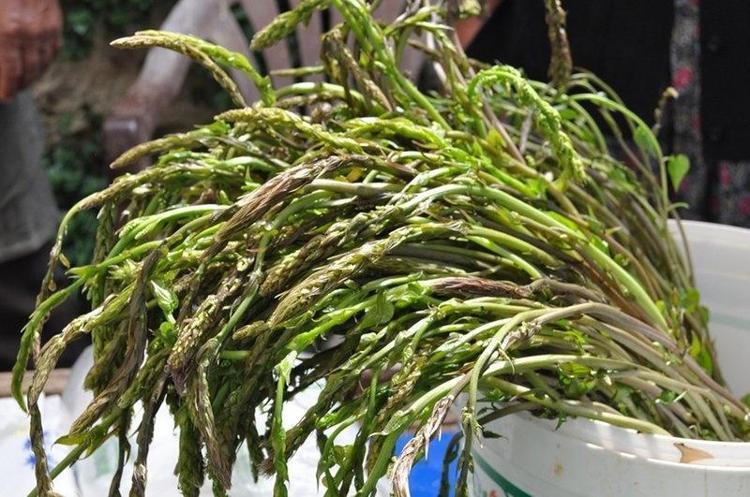İşsizken bağını 100 liraya satmaya başladı Bu işin maliyeti yok: Doğada kendiliğinden yetişiyor