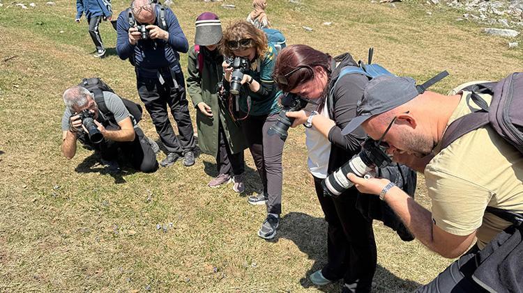 Uzman isim uyardı: Bu bitki kesinlikle yenilmemeli ve kopartılmamalı Yılın sadece 3 ayında görünüyor