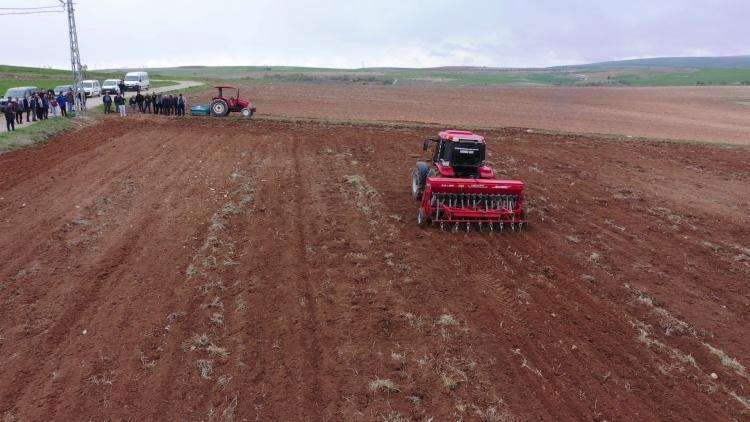 Elazığda 600 ton üretiliyor Organik üretimde yeni yöntem: Dekar başına yüzde 50 artış sağlıyor