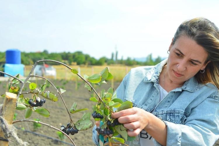 Balıkesirde ilk o üretti, mesleği bile bıraktı Genç kadın girişimci kilosunu 500 TLye satıyor