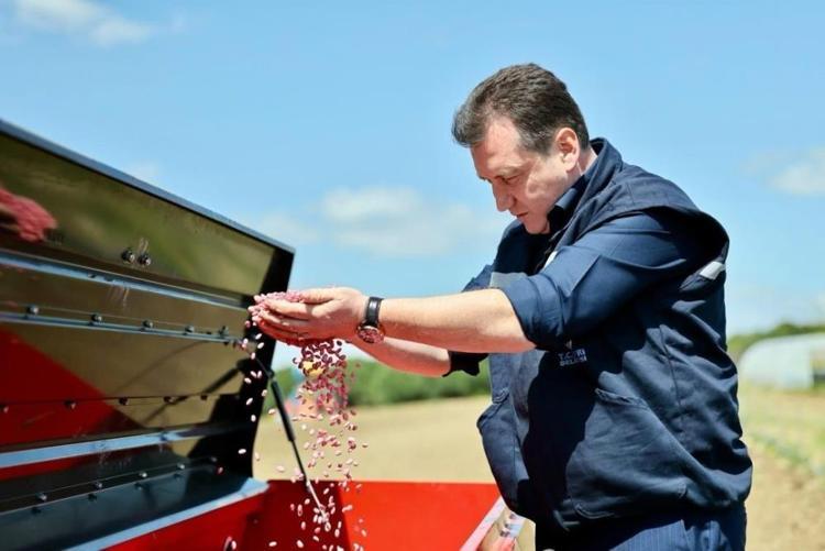 Belediye ilk kez 10 dönüm nohut ve fasulye ekimi gerçekleştirdi